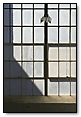 Factory Window