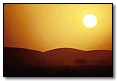 African Sun