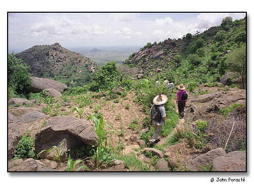 Mountain path, above Mora, Cameroon, Africa
