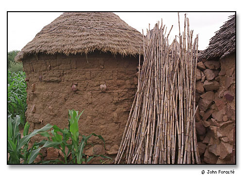 Traditional hut, sticks, millet, near Mora, Cameroon, Africa