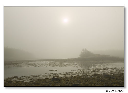 Morning Fog. Acadia National Park, Maine. September 2007.