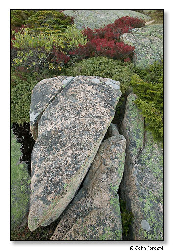 Weathered Rocks. Acadia National Park, Maine. September 2007.