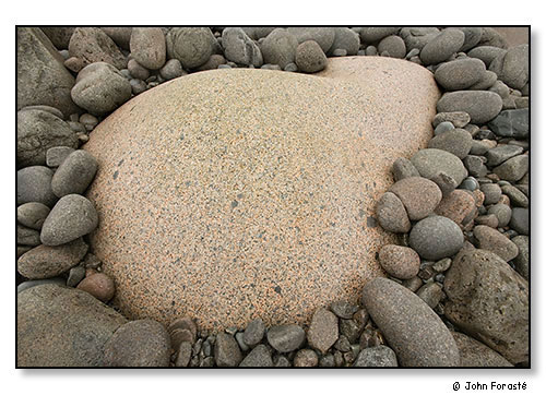 Rocks in intertidal zone. Acadia National Park, Maine. October 2004.