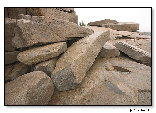 Coastal granite rock. Acadia National Park, Maine. October 2004.