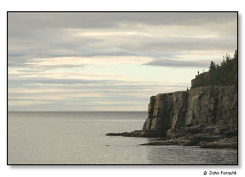 Acadia. Otter Cliffs.