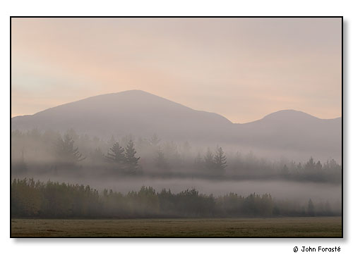 Mountains, trees and fog at dawn. The White Mountains, Franconia, New Hampshire. October 2004.