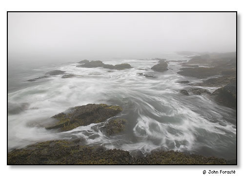 Sachuest Point. Surf, rocks and fog.