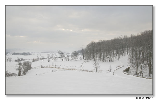Winter Scene. Bundoran Farm, Albemarle County, Virginia. February 2010.