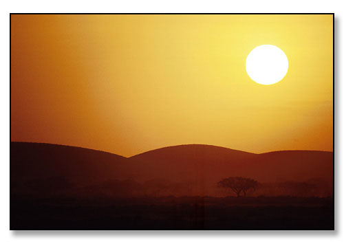 Acacia tree, plain, mountains and setting sun. <br>Amboseli National Park, Kenya, East Africa. July 1989.